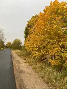 Маево - 45