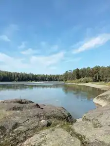 Тура - 85