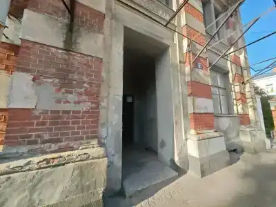 Пихта - 19