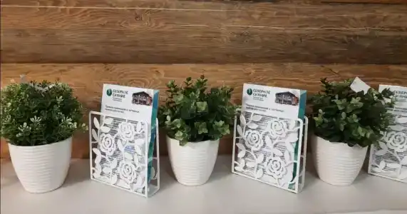 Северное Сияние - 21