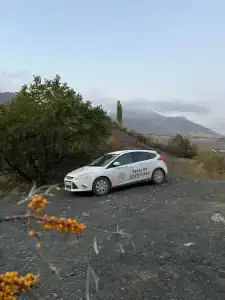 Турдагестан - 11