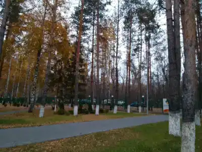 Санаторий-Профилакторий АО КНПЗ - 36