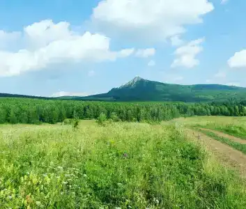 Малиновка - 12