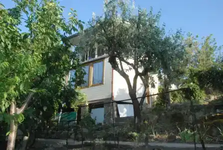 Замок грез - 49