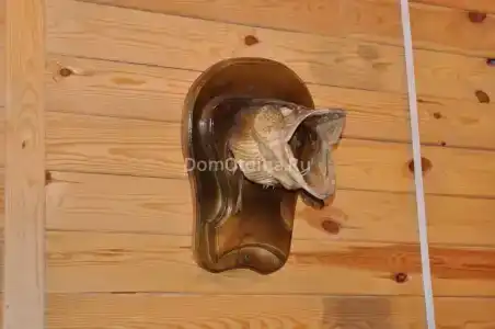 Мой Дом - 5