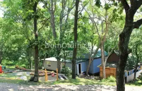 Лесная - 10