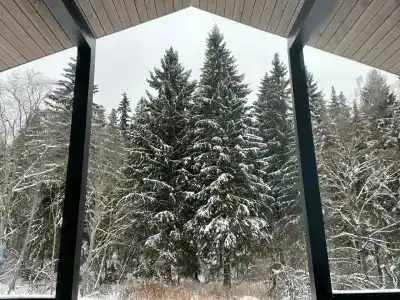 Хвойный Лес - 52