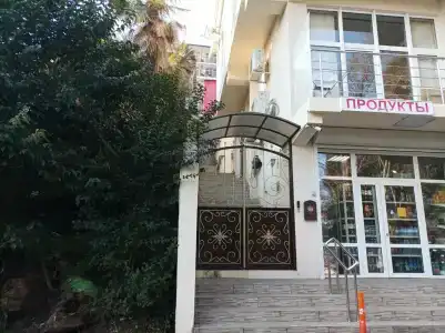 Пионер - 3