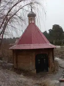 Красный Бор - 50