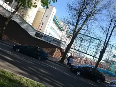 5 колец - 15