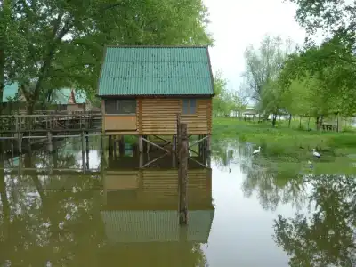 Прокоста - 2