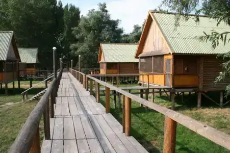 Прокоста - 4