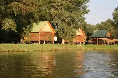 Прокоста - 6