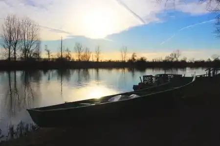 Прокоста - 11