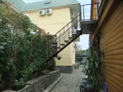 фламинго - 5