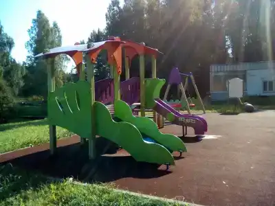 Лесной Родник - 1