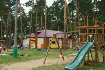 Сосновый бор - 29