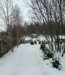 МайнДорф - Батаково - 52