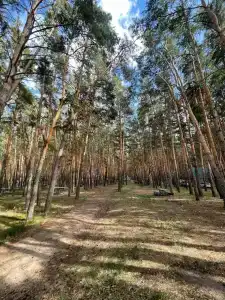 Ясная поляна - 19