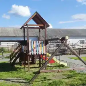 Мурманская страусиная ферма - 20