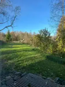 Зелёный холм - 6
