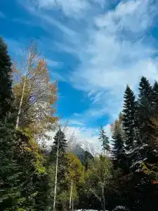 Счастливый лось - 15