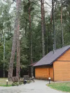 Кедровый Бор - 33