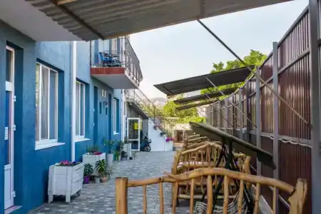 Барракуда - 25