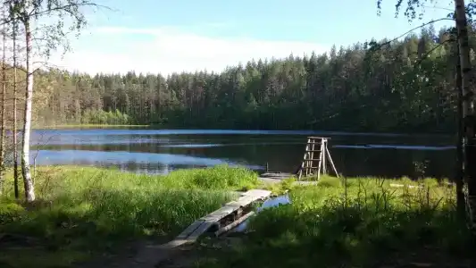 Холодный ручей - 20