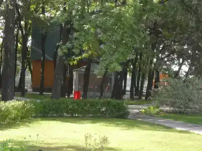 Дубрава - 22
