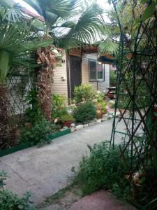 Усадьба Пантелея - 57