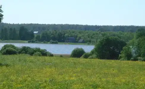 Остров - 36