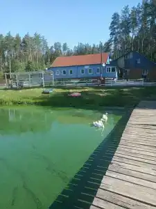 Селькин пруд - 21