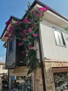 Side Royal Palace - 30