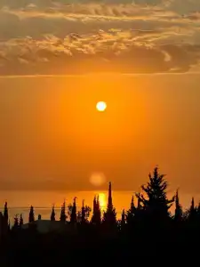 На ладони - 21