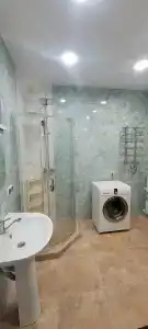Горный кедр - 34