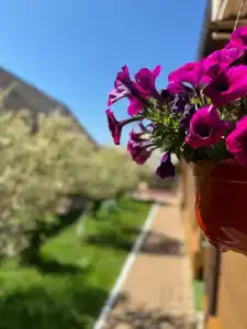 Солнечный Остров - 41