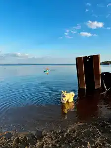 Лазаревых - 41