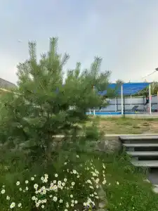 Скандинавия - 17