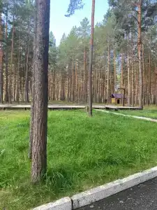 Усадьба - 50