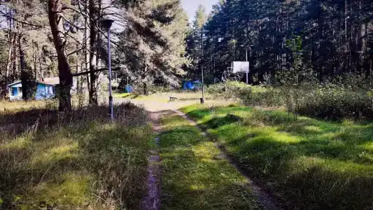 Волна - 85