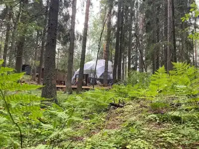 Villy Uley Karelia (Вили Улей Карелия) - 71