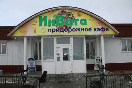 Зеленый Бор - 1