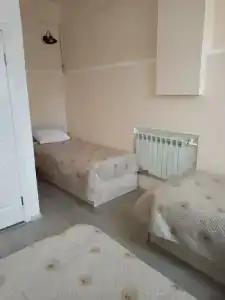 Соты - 18