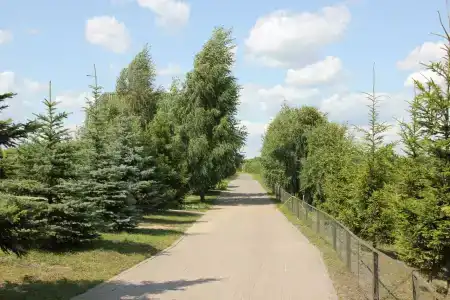 Лукоморье - 67