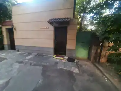 Apart Alex - 3
