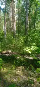 Белое Озеро - 90
