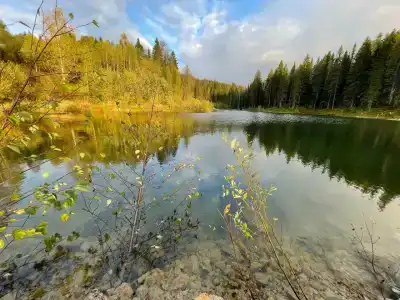 Родники - 18