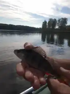 Серебряный Ключ - 30