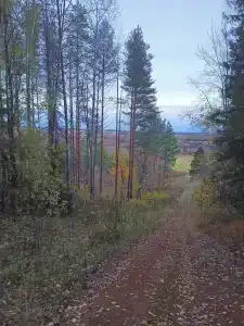 Бобровниково - 75